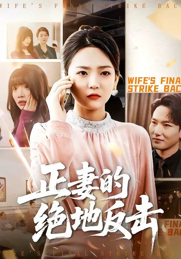 正妻的绝地反击海报