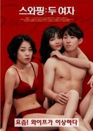 交换：两个女人海报