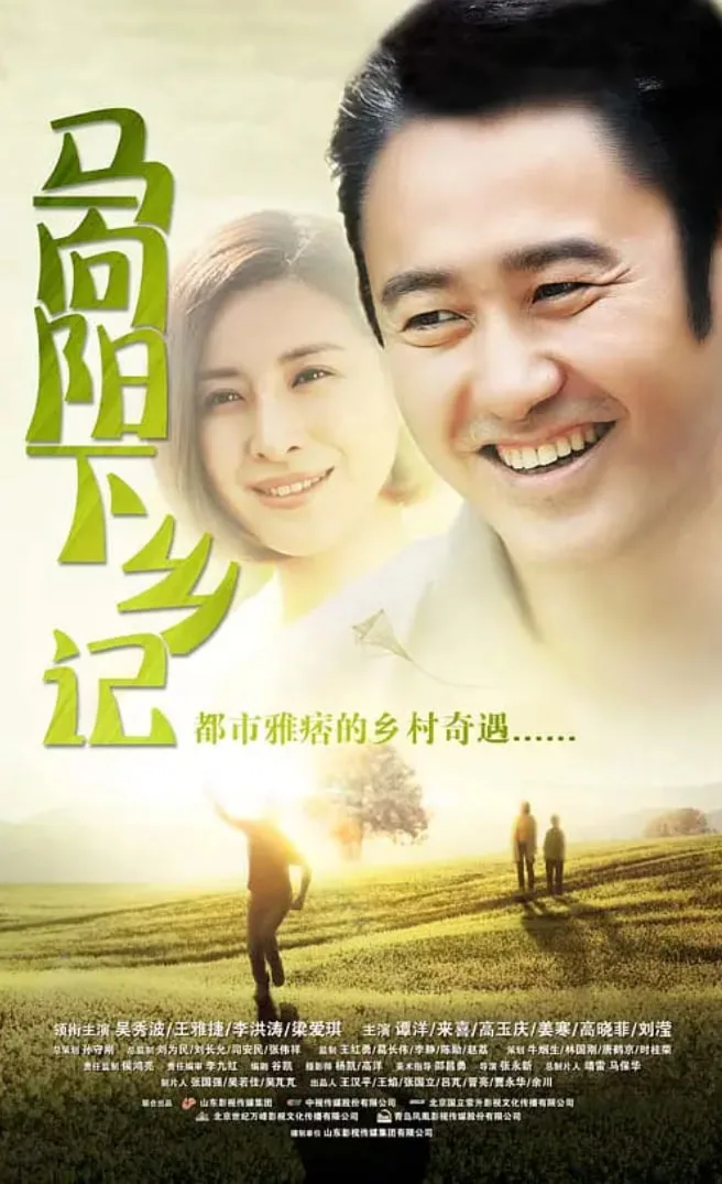 马向阳下乡记海报