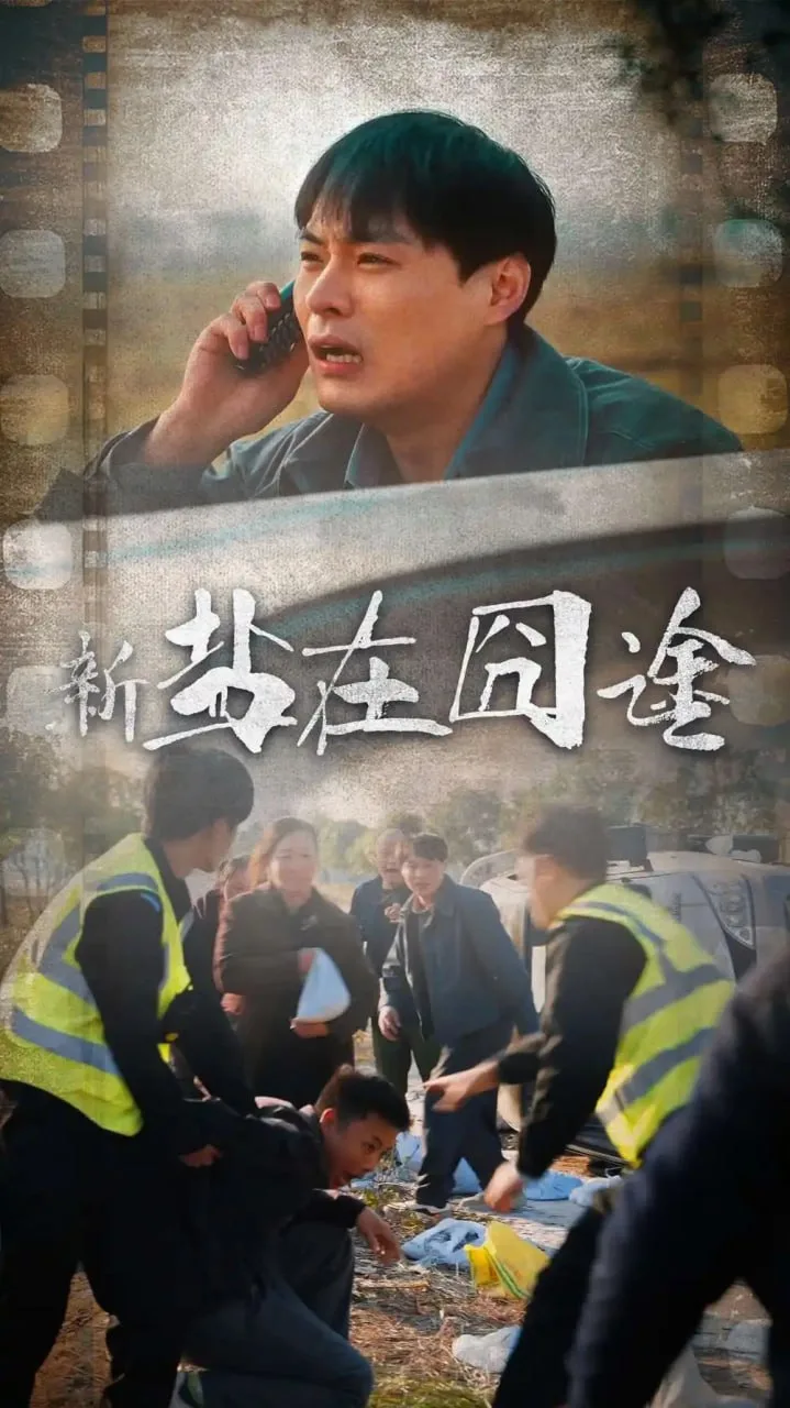 盐在囧途海报