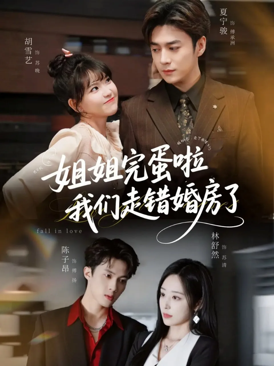 姐姐完蛋啦我们走错婚房了海报