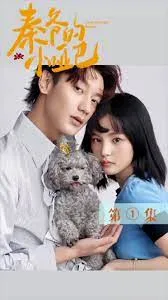 秦爷的小哑妻海报
