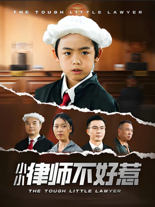 小小律师不好惹海报
