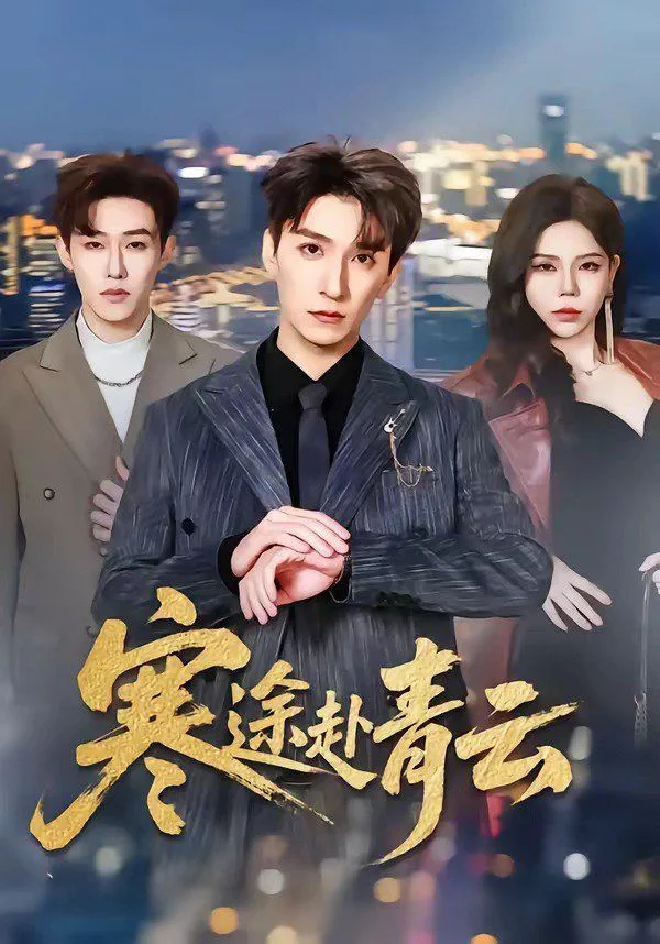 寒途赴青云海报
