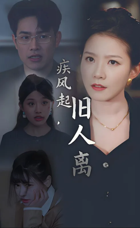 疾风起旧人离海报