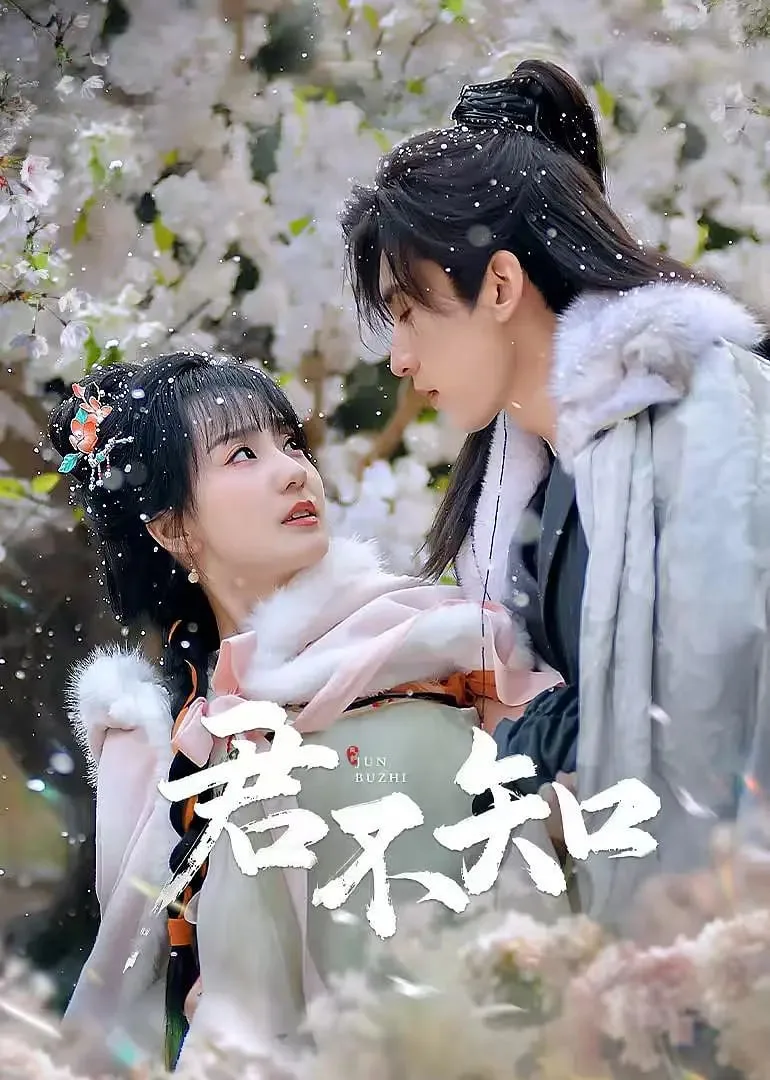 君不知海报