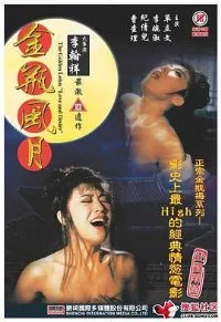 金瓶风月海报