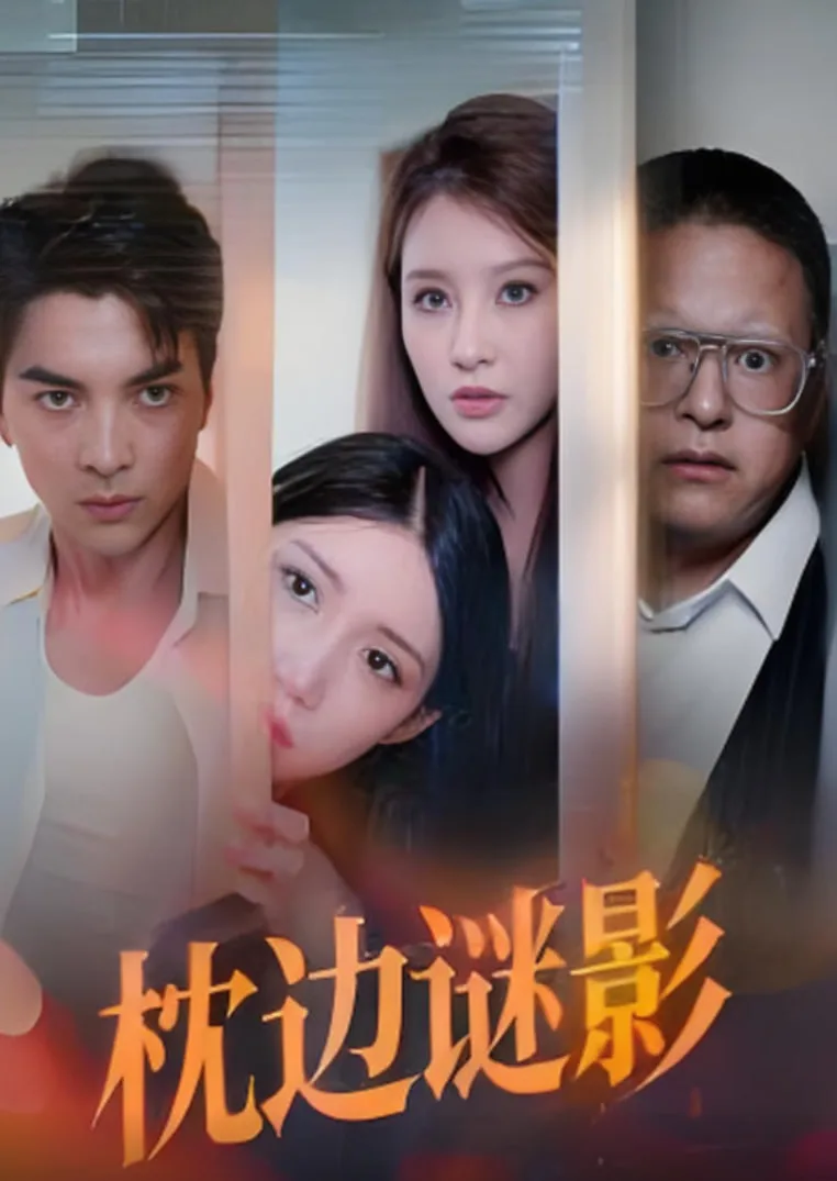 枕边谜影（我撞破了妻子的秘密）海报