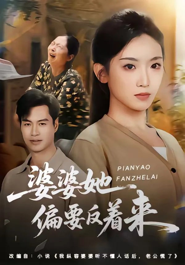 婆婆她偏要反着来海报