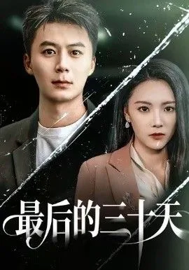 最后的三十天海报