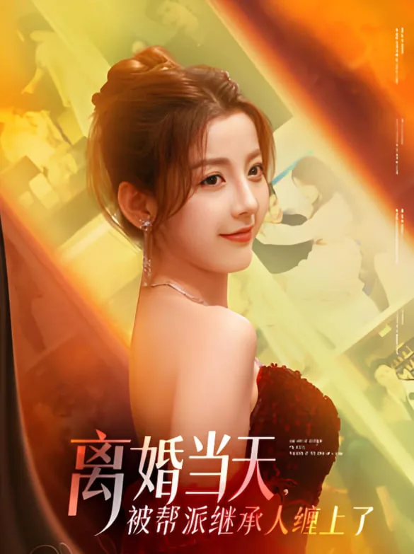 离婚当天，被帮派继承人缠上了海报