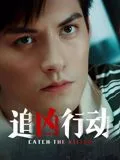 追凶行动海报