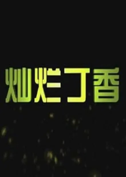 灿烂丁香 2011海报