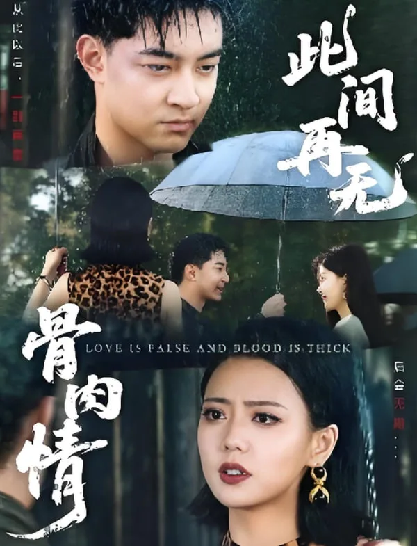 此间再无骨肉情海报