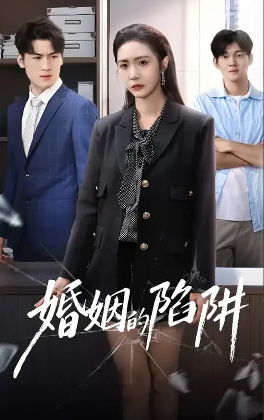 婚姻的陷阱海报