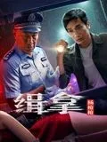 缉拿杨枪枪海报