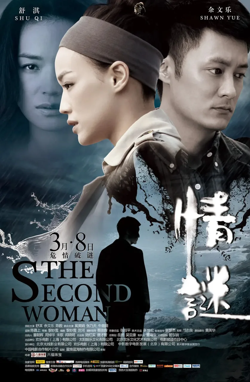 情谜 2012海报