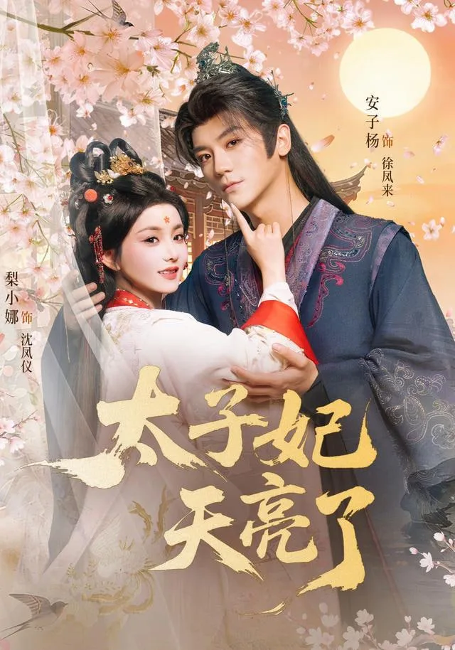 太子妃天亮了海报