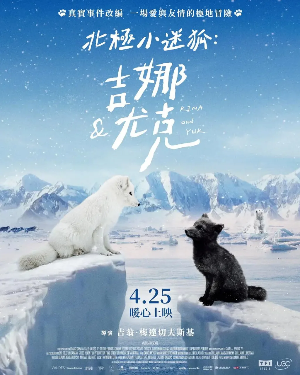 北极小迷狐：吉娜和尤克海报