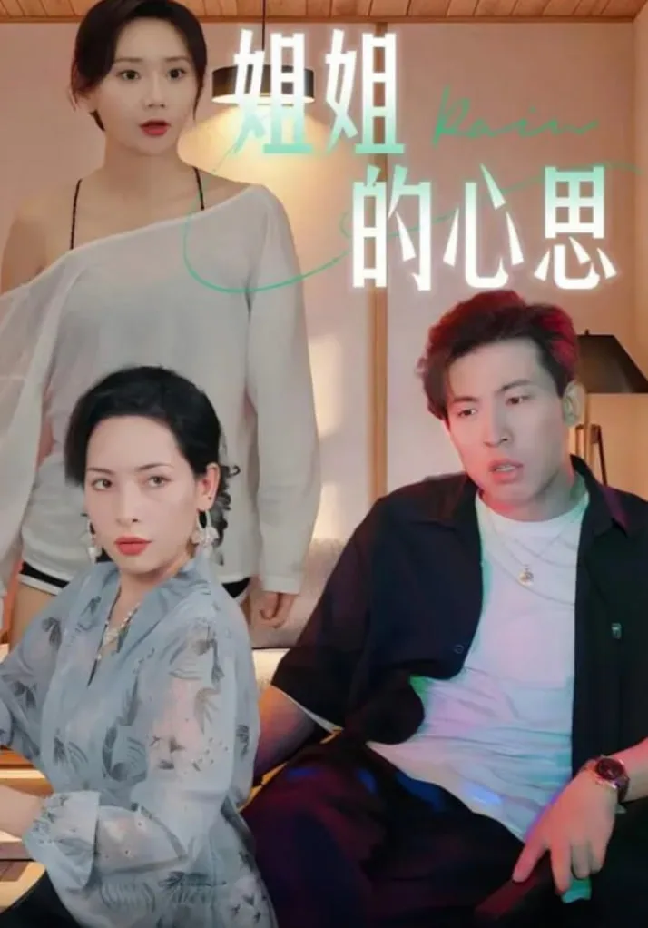 姐姐的心思海报