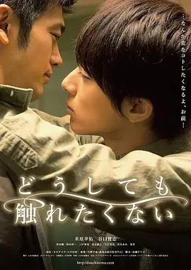无法触碰的爱(2014)海报