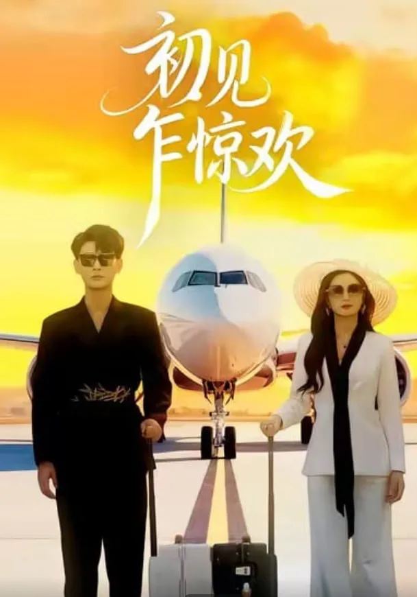 初见乍惊欢海报