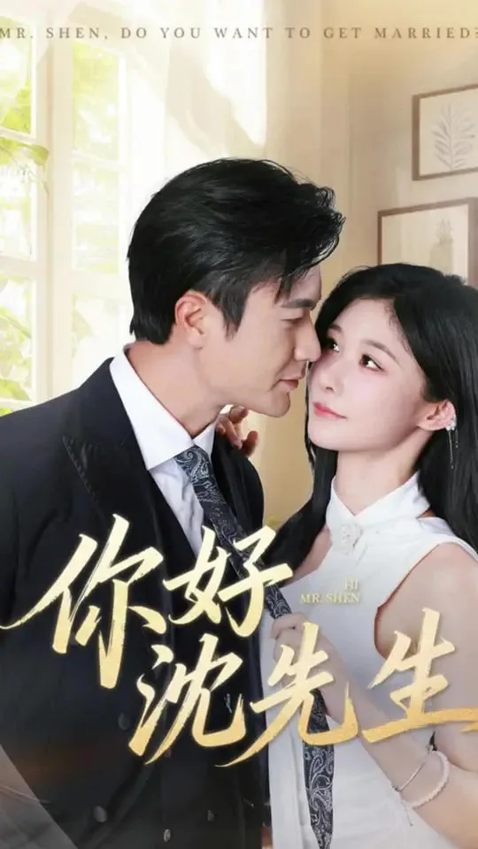 你好沈先生海报