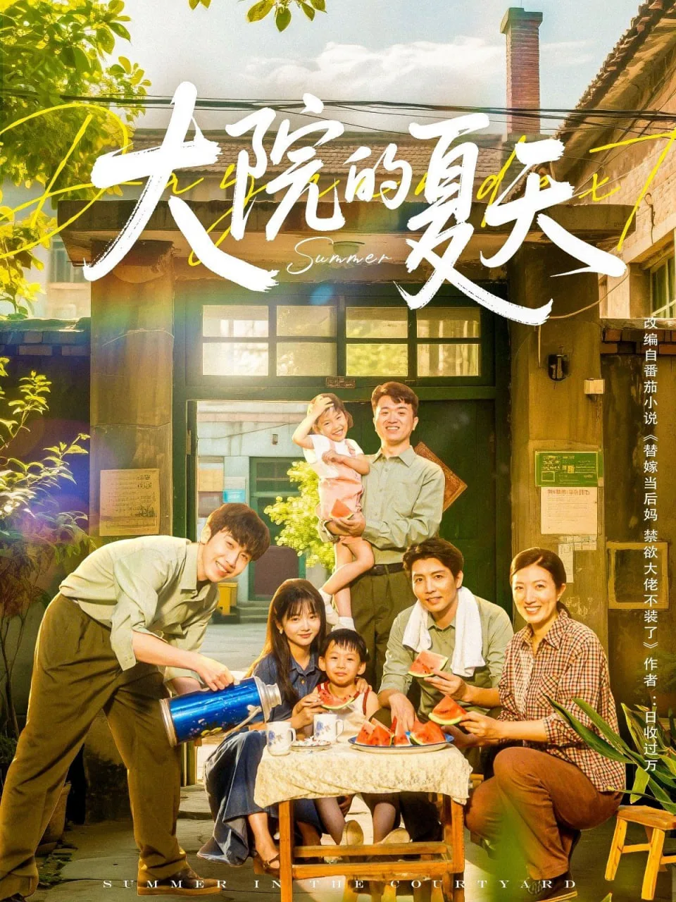 大院的夏天海报