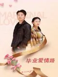 毕业爱情路海报