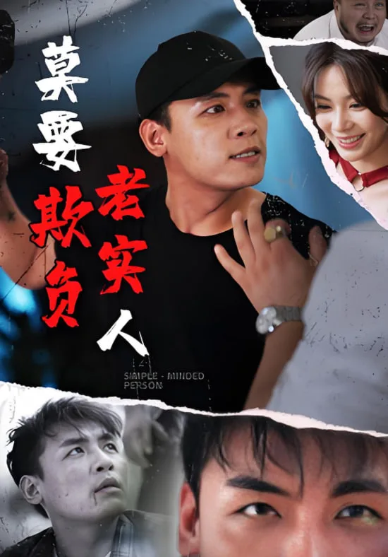 莫要欺负老实人海报