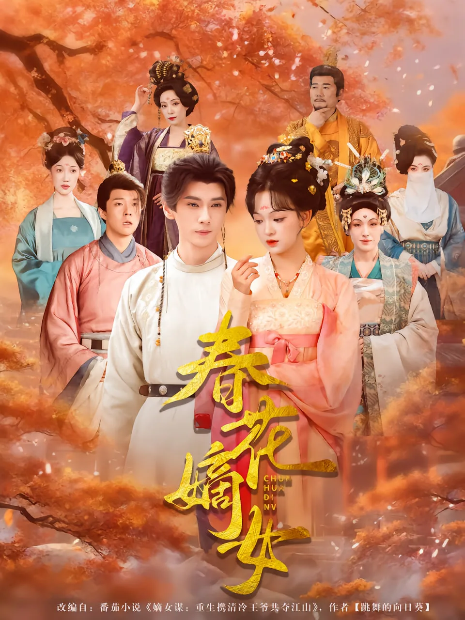 春花嫡女海报