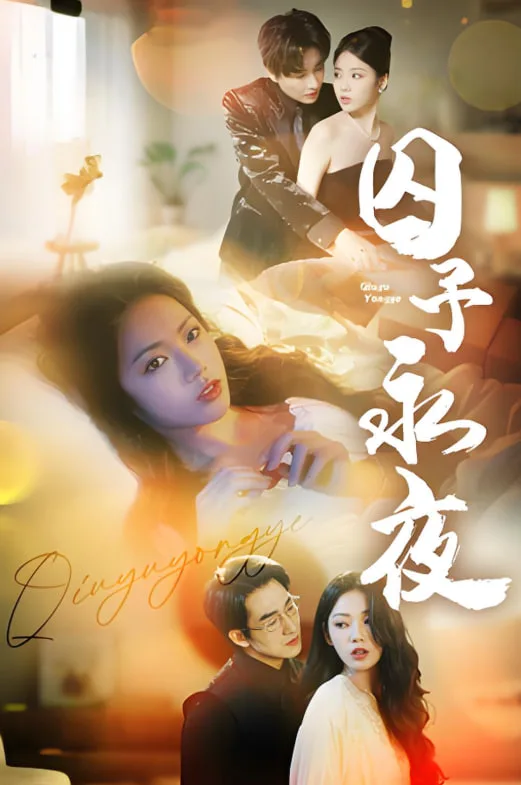 囚予永夜海报
