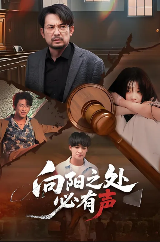 向阳之处必有声海报