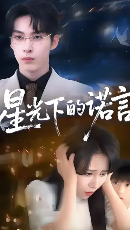 星光下的诺言海报