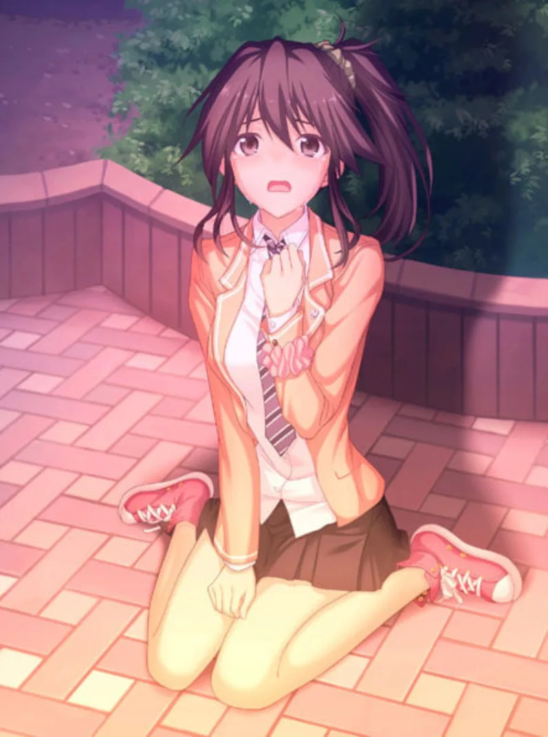 少女的回忆海报