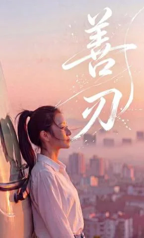 善刃海报