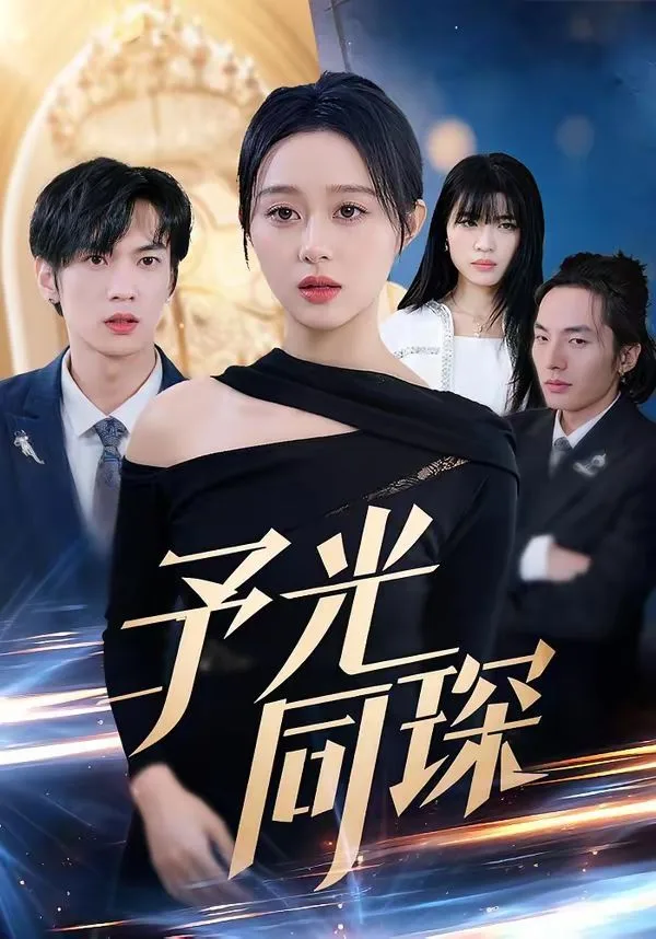 予光同琛海报