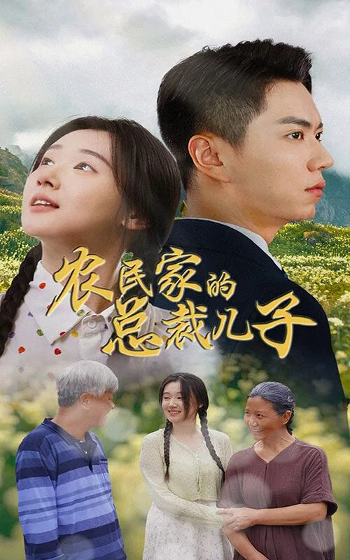 农民家的总裁儿子（富锦还乡）海报