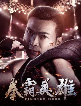 拳霸英雄海报