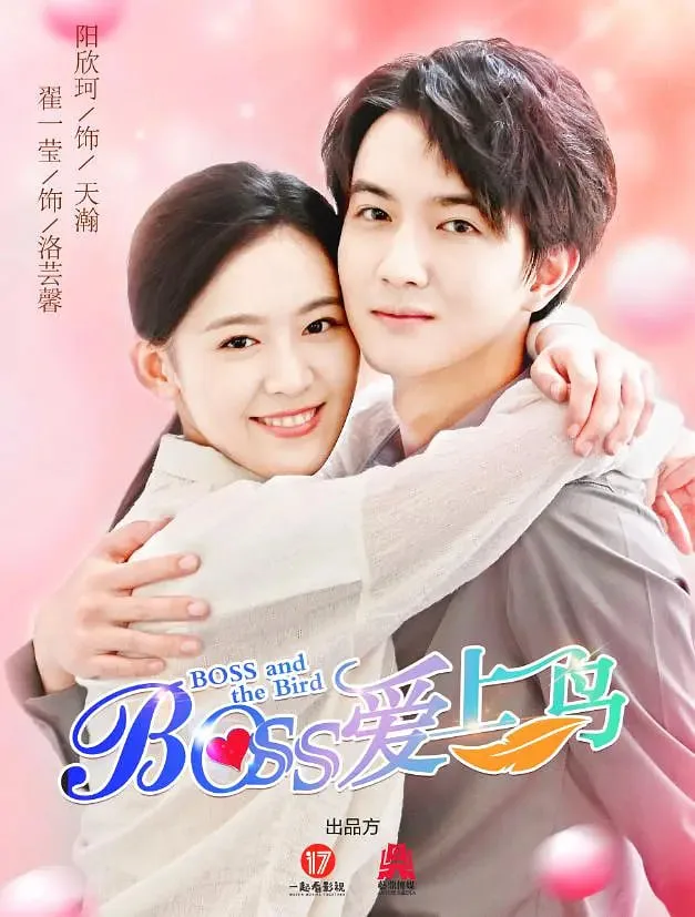 Boss爱上鸟海报