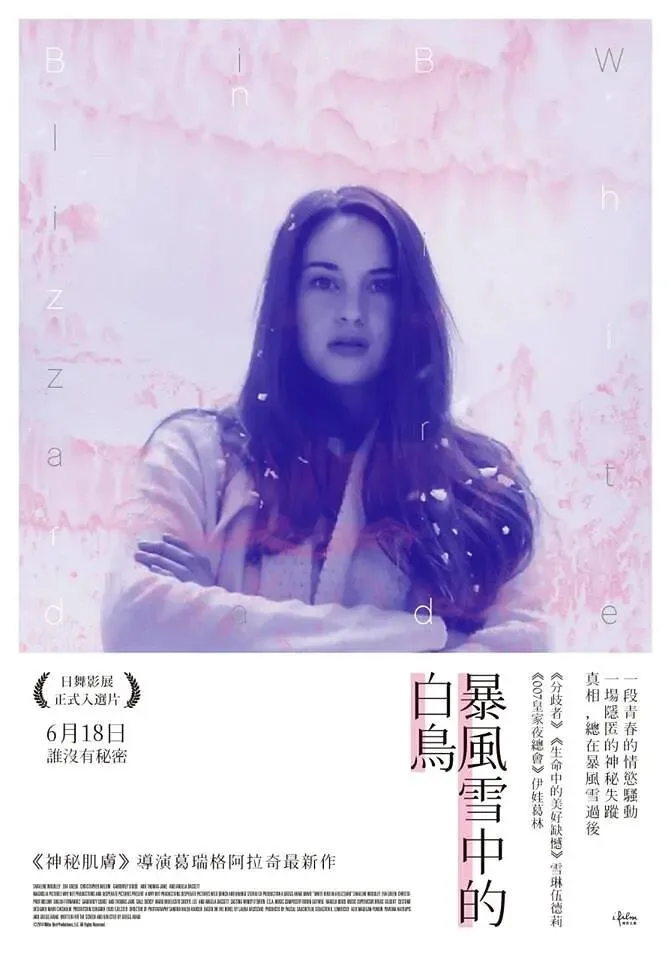 暴风雪中的白鸟海报