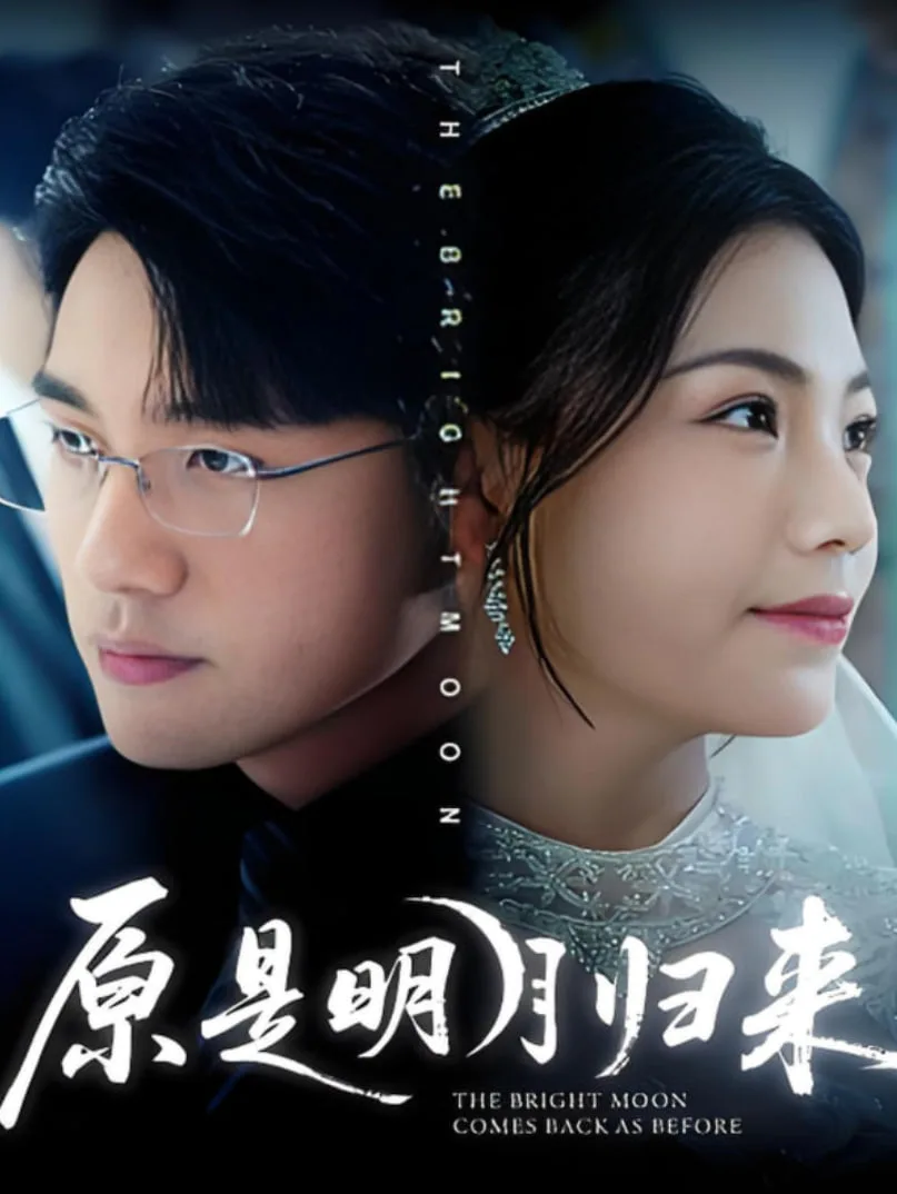 原是明月归来海报
