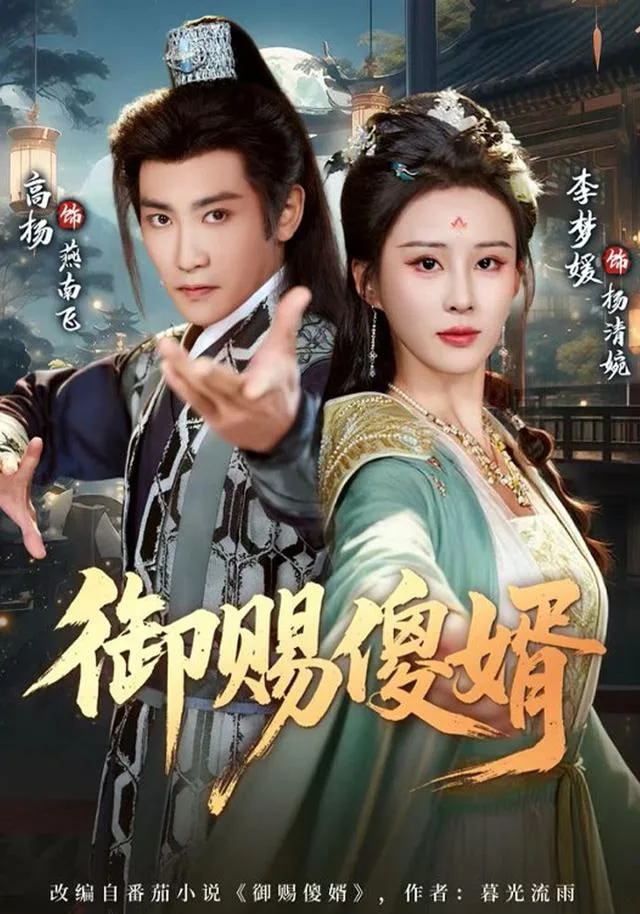 御赐S婿海报