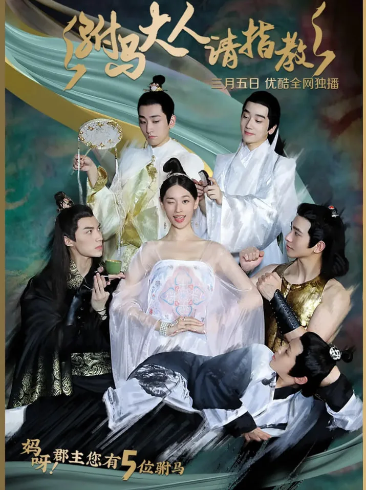 驸马大人请指教海报