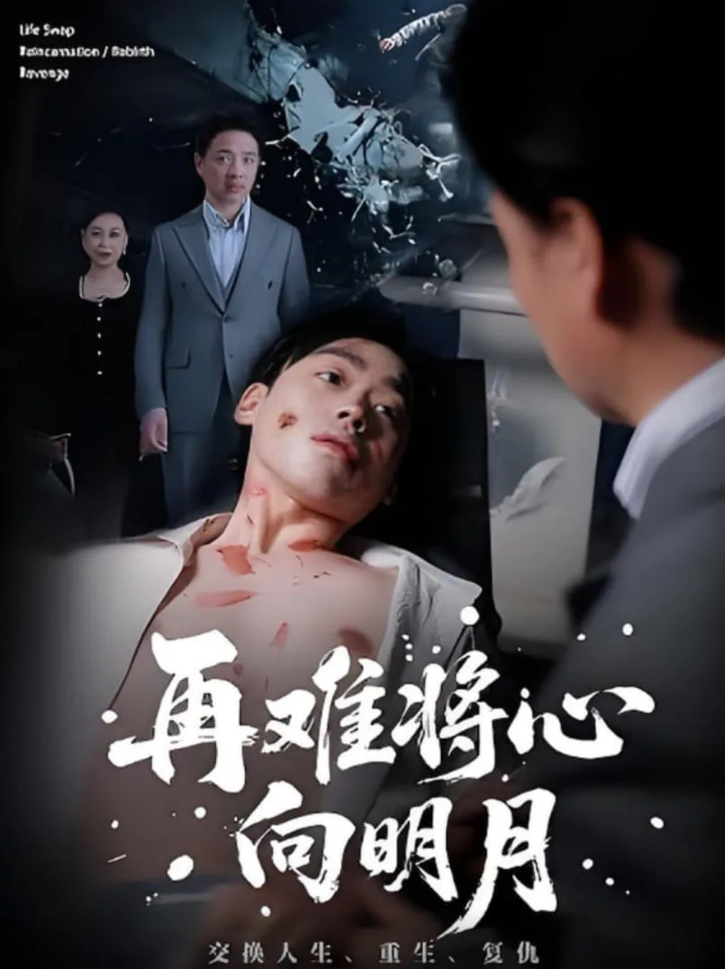 再难将心向明月海报