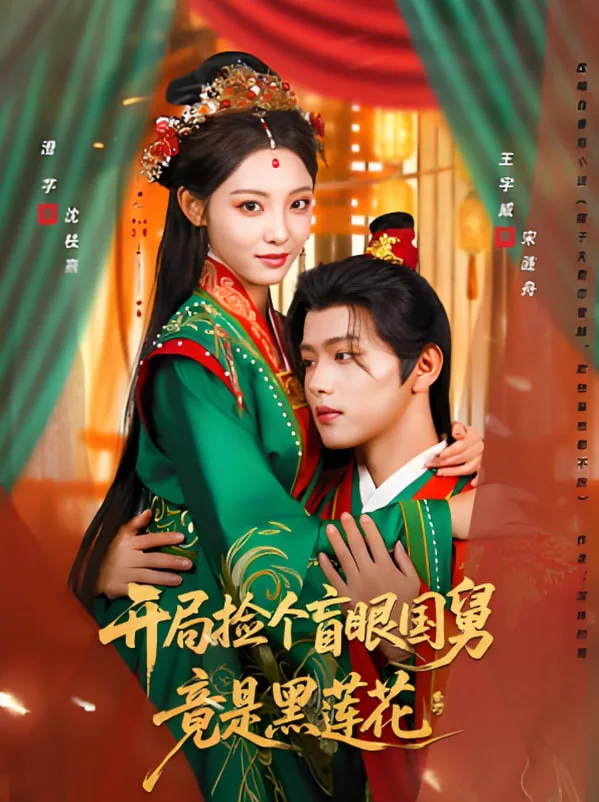 开局捡个盲眼国舅竟是黑莲花海报