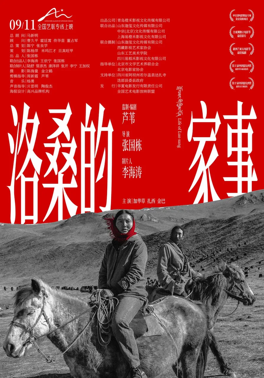 洛桑的家事海报