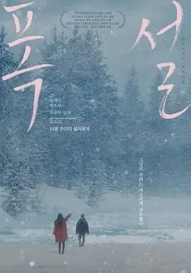 暴雪海报